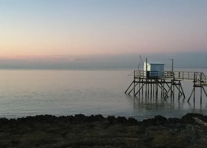 Holiday home Le Cedre Bleu Fouras